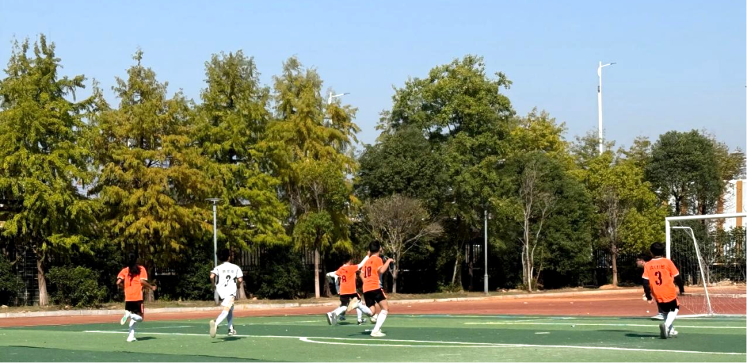 leyu-绿茵逐梦，“足”够精彩——临川二小第八届足球联赛圆满落幕